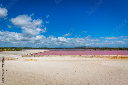 Red salt production in Puerto Rico lake photo