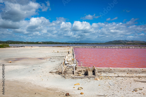 Red salt production in Puerto Rico lake photo