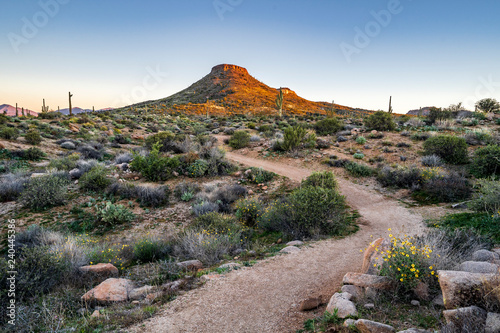 Morning light on the mountaIn