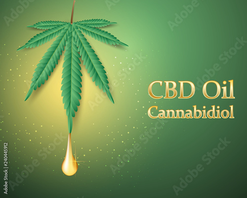 Medical Marijuana and Cannabidiol (CBD Oil)-Vector