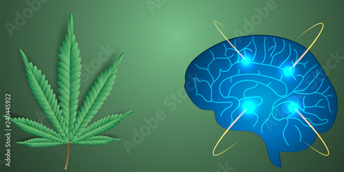 Effects of marijuana,cannabis on the brain