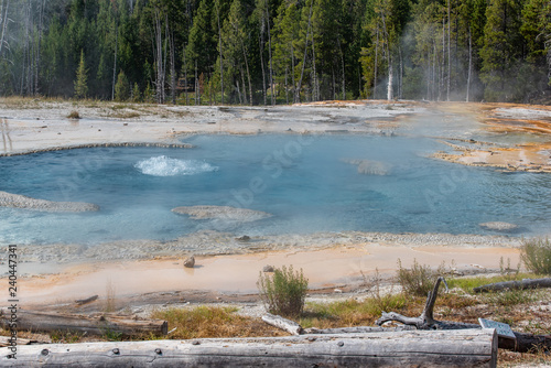 A thermal spring in Yellowstone