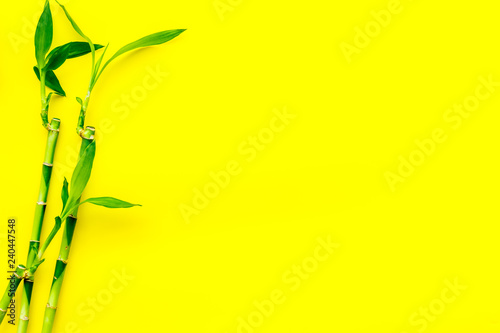 Asia background. Chinese  japanese background. Bamboo branch on yellow background top view copy space