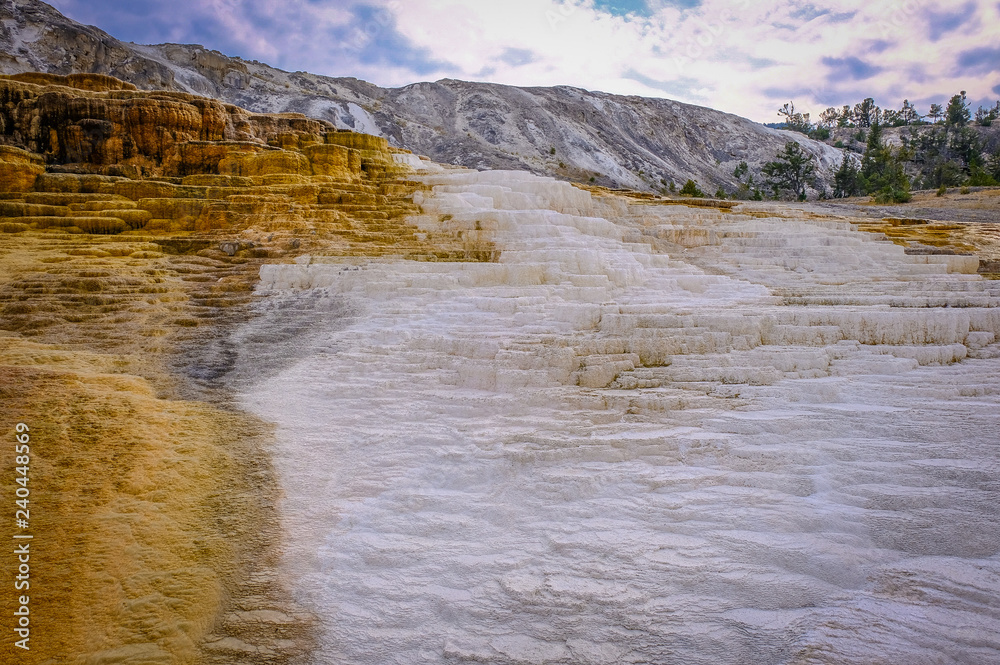 Mammoth Hot Springs  in Yellowstone National Park