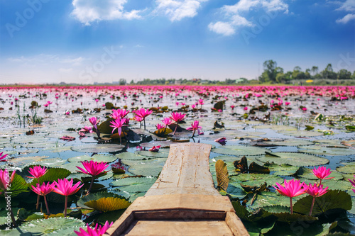 red lotus in pond or talay bua daeang and wooden boat photo