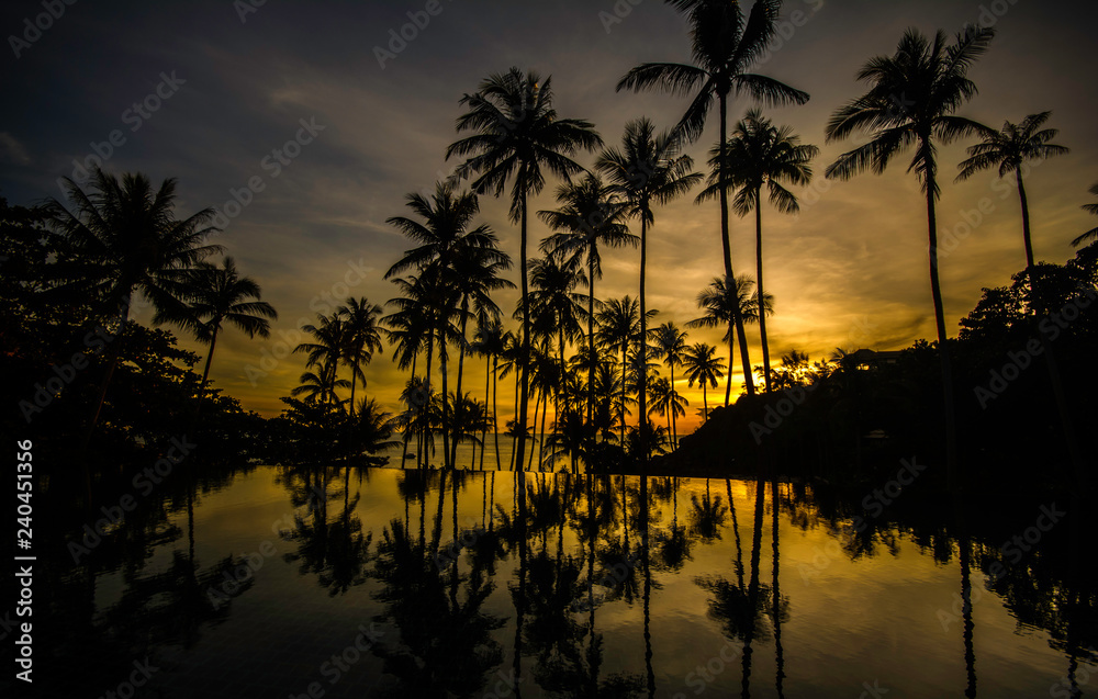 Silhouette coconut palm tree with sunset time on the beach at samui island,Thailand
