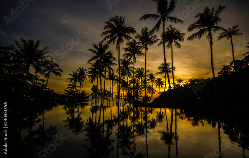 Silhouette coconut palm tree with sunset time on the beach at samui island,Thailand