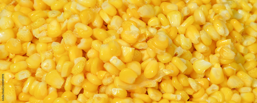 Corn texture seed corns yellow background - sweet corn slice cooking steamed on hot pot Corn texture seed corns yellow background - sweet corn slice cooking steamed on hot pot