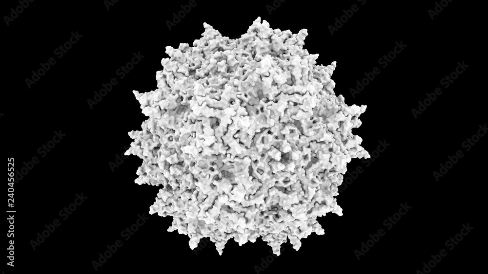 3D CG rendered image of scientifically accurate AdenoAssociated Virus (AAV) Capsid Structure