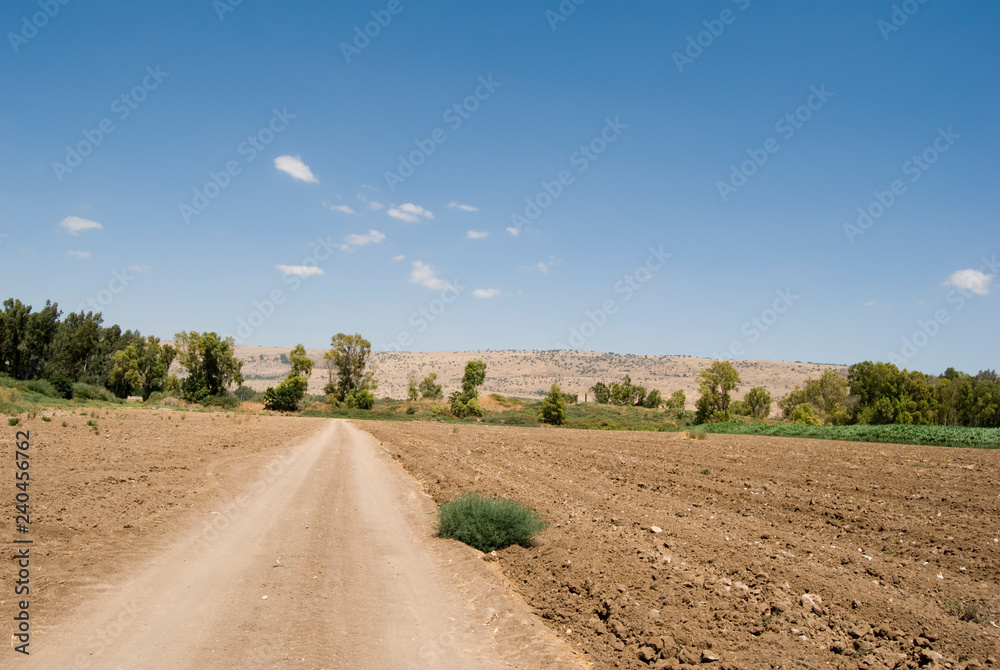 Obraz premium ploughed fields