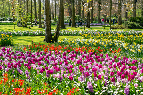 People enjoy an abundance of beautiful, flowering, spring flowers in the flower park keukenhof in Lisse, Netherlands