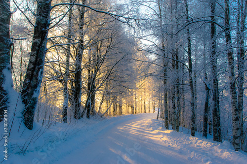 Snowy landscape from Sotkamo, Finland. © ville