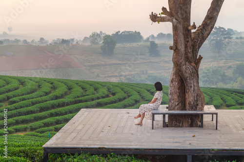 A beautiful sunset at Chui Fong tea plantation, Chiang Rai, Thailand