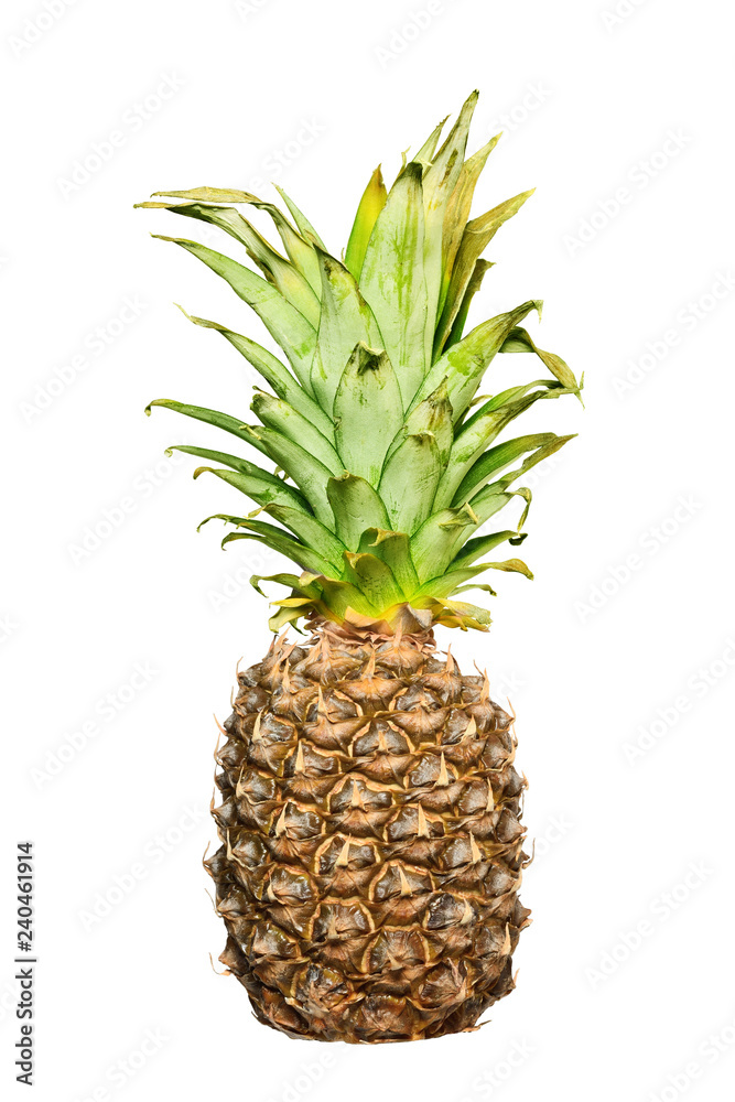 Fototapeta premium pineapple close up isolated on a white background