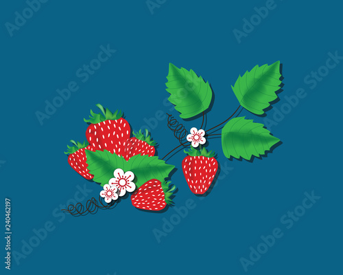 strawberry with leaves on white background