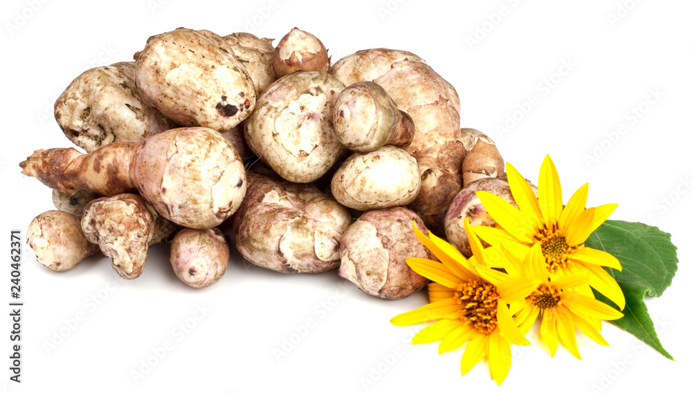 Jerusalem artichoke isolated on white background Jerusalem artichoke isolated on white background