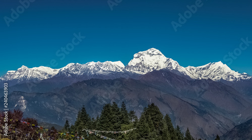 Snow Peak of Dhaulagiri Mountain in the Himalayas in Nepal. View from Poon Hill