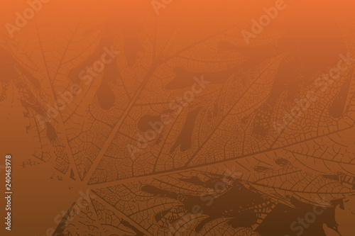 vein texture of dry papaya leaf as background vector
