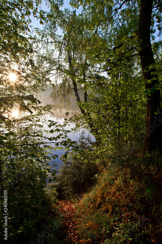 Dawn on the lake  a bright sun