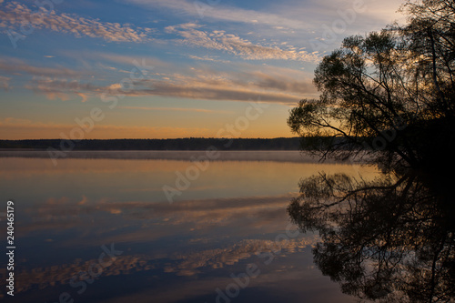 Dawn over the quiet water surface of the lake. Morning blue sky, in the water is a branch of a bizarre shape, reflections
