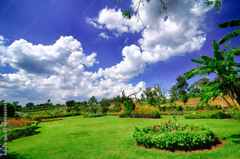 Obraz premium Green Landscapes