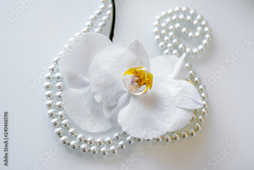 pearl and white orchid on a white glas
