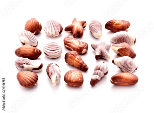 Shell-shaped chocolates
