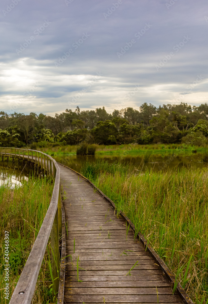 Wetland bridge scene and swamps, New South wales, australia