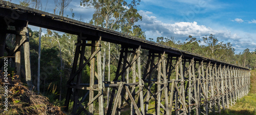 view over the Noojee Trestle bridge, Gippsland, Victoria, Australia photo