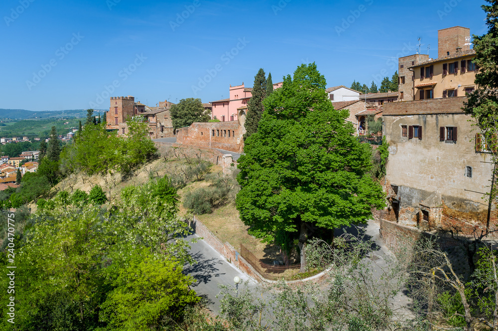Serpentine road to Certaldo fortress and town on the hill