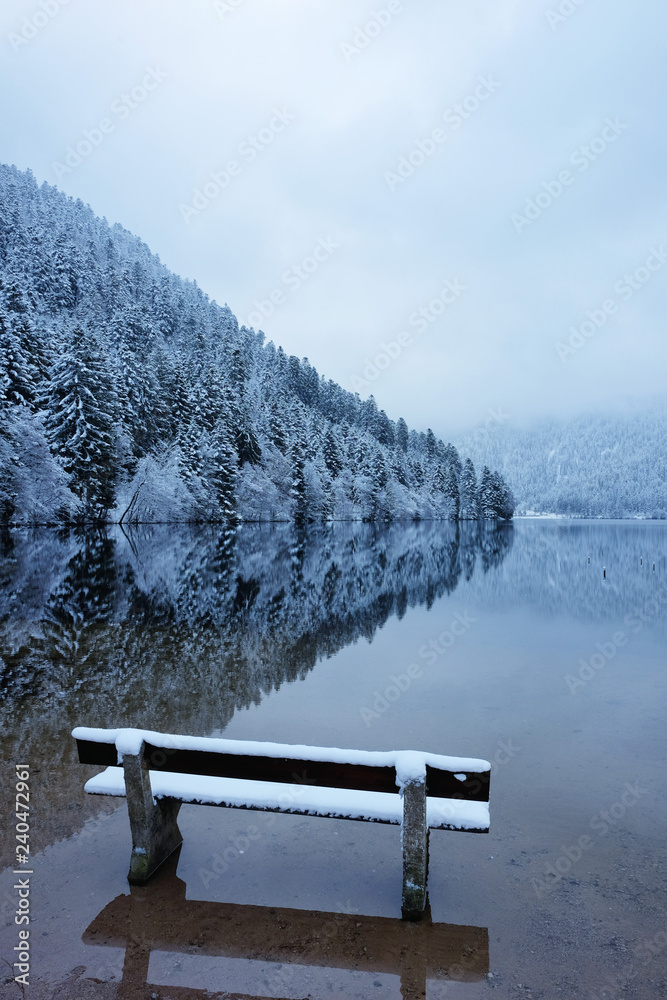 Reflection of snowy forest at the Lac de Longemer in the Vosges