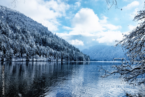 Winter snowy forest reflected in Longemer Lake photo