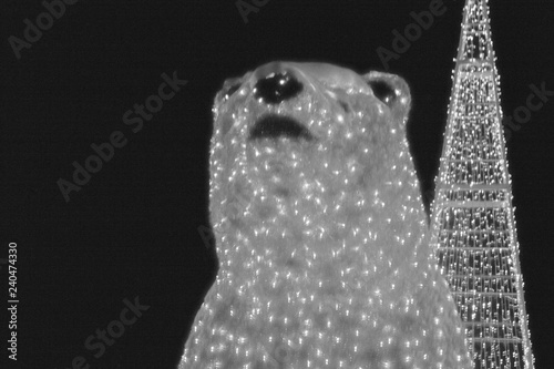 Polar bear
