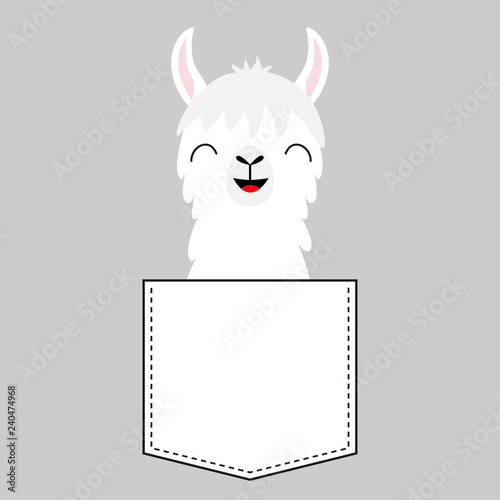 Llama alpaca face head in the pocket. Cute cartoon baby animal. Dash line. Kawaii character. White and black color. T-shirt design. Gray background. Isolated. Flat design.