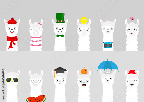 Alpaca llama set. Cute cartoon funny lama character. All seasons. Happy Valentines Christmas St Patrick day Easter Egg Chicken Bird Umbrella Santa hat, sun Flat design Gray background