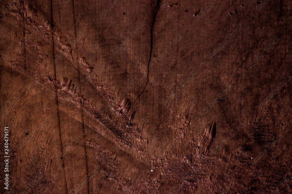 Fototapeta premium Wood Textures Backgrounds