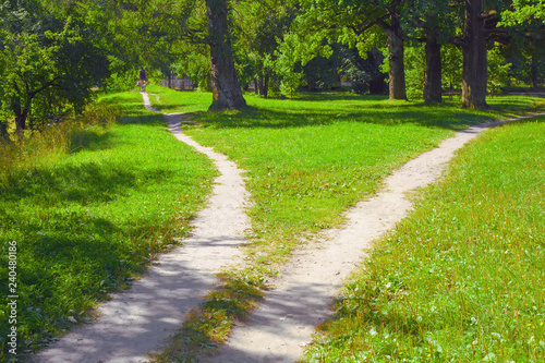 Two paths diverging to the sides and a lone cyclist on one of them drives away