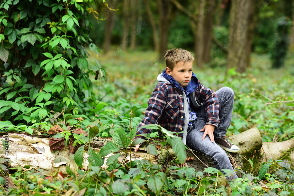 A wonderful place to get away. Small boy in holiday camp. Small boy relax in woods camp. Location is everything A wonderful place to get away. Small boy in holiday camp. Small boy relax in woods camp. Location is everything