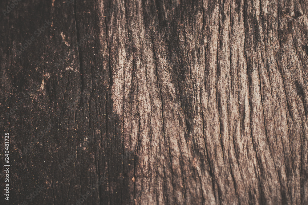 Fototapeta premium Wood Texture Backgrounds