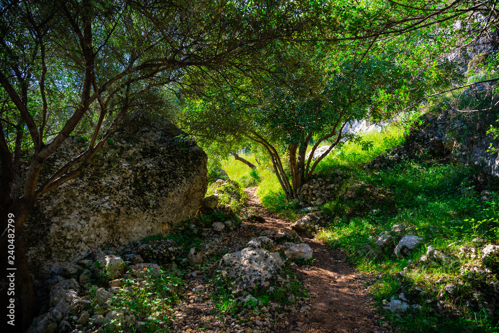 Natural landscape in valley, Anapo valley, Pantalica, Sicily Natural landscape in valley, Anapo valley, Pantalica, Sicily