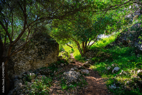 Natural landscape in valley  Anapo valley   Pantalica  Sicily