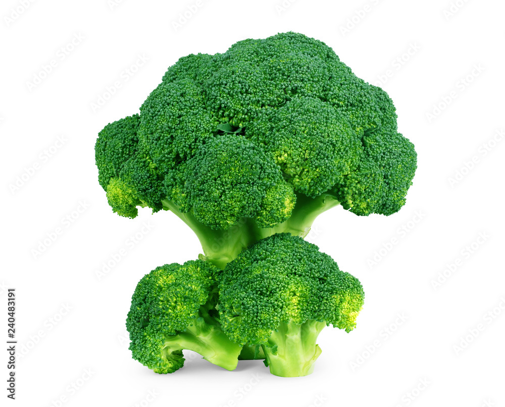 Broccoli isolated on white background Broccoli isolated on white background