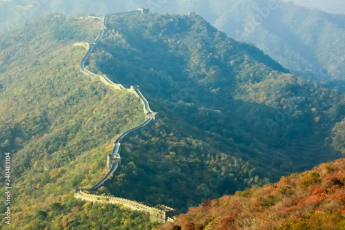 A great Chinese wall among the mountains covered with autumn forest. Plot Mutianyu Great Wall
