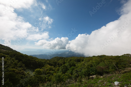 Wallpaper Mural 大自然 Torontodigital.ca