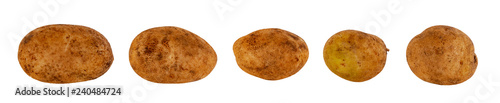 Photos Untreated potato tubers white background