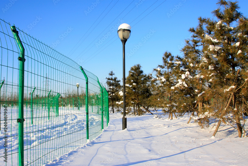 Obraz premium Metal fences and street lamps in the snow