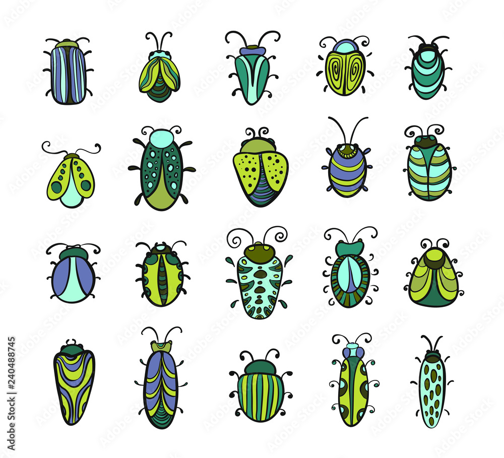 Fototapeta premium Set of vector beetles on white background