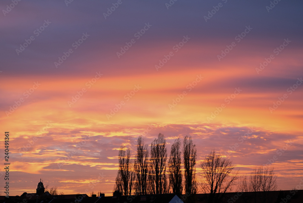 sunset sky, trees, colorful background