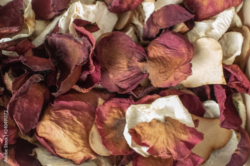 dried roses
