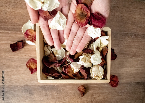 dried roses in hands